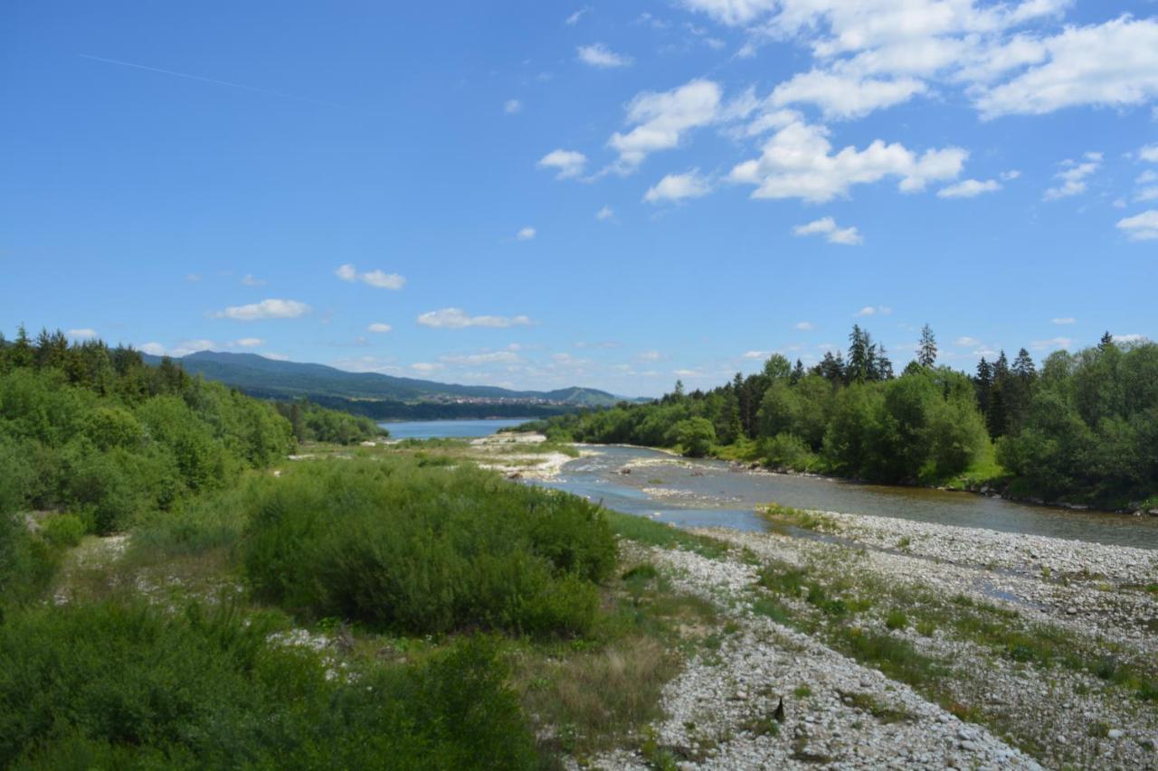 Domki Nad Jeziorem Czorsztynskim Debno  Екстериор снимка